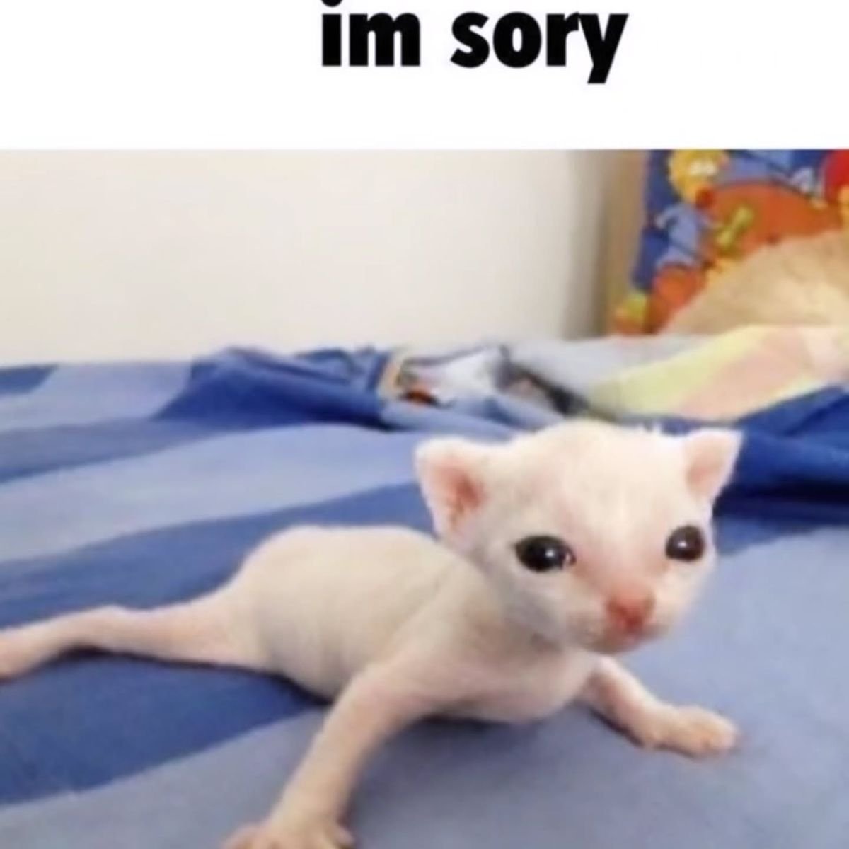 <a href="/svge_seameow/">SVGE Seameow</a> <a href="/VoltsAOW/">VoltsA</a> oh well ! heh! we'll get them next time guys !.. I will continue to show my best performance ! 화이팅!!!