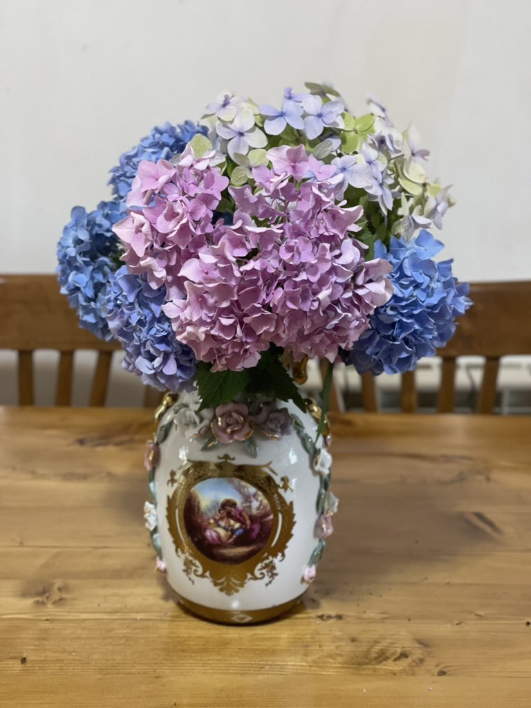 @GelogolStudio هورتانسیا آبی توو شمال فراوونه توو باغچه ها