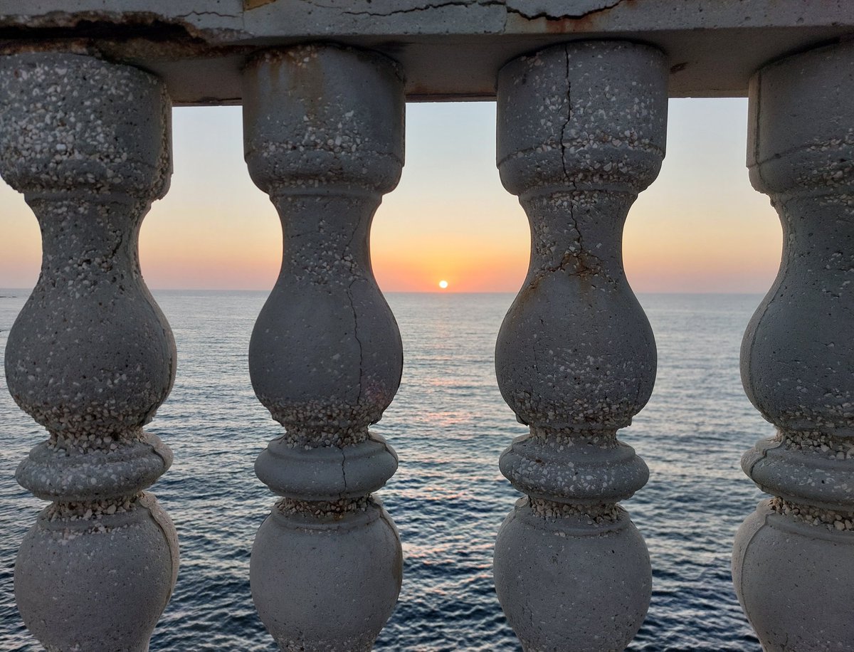 LaMargari 🧡 tweet media