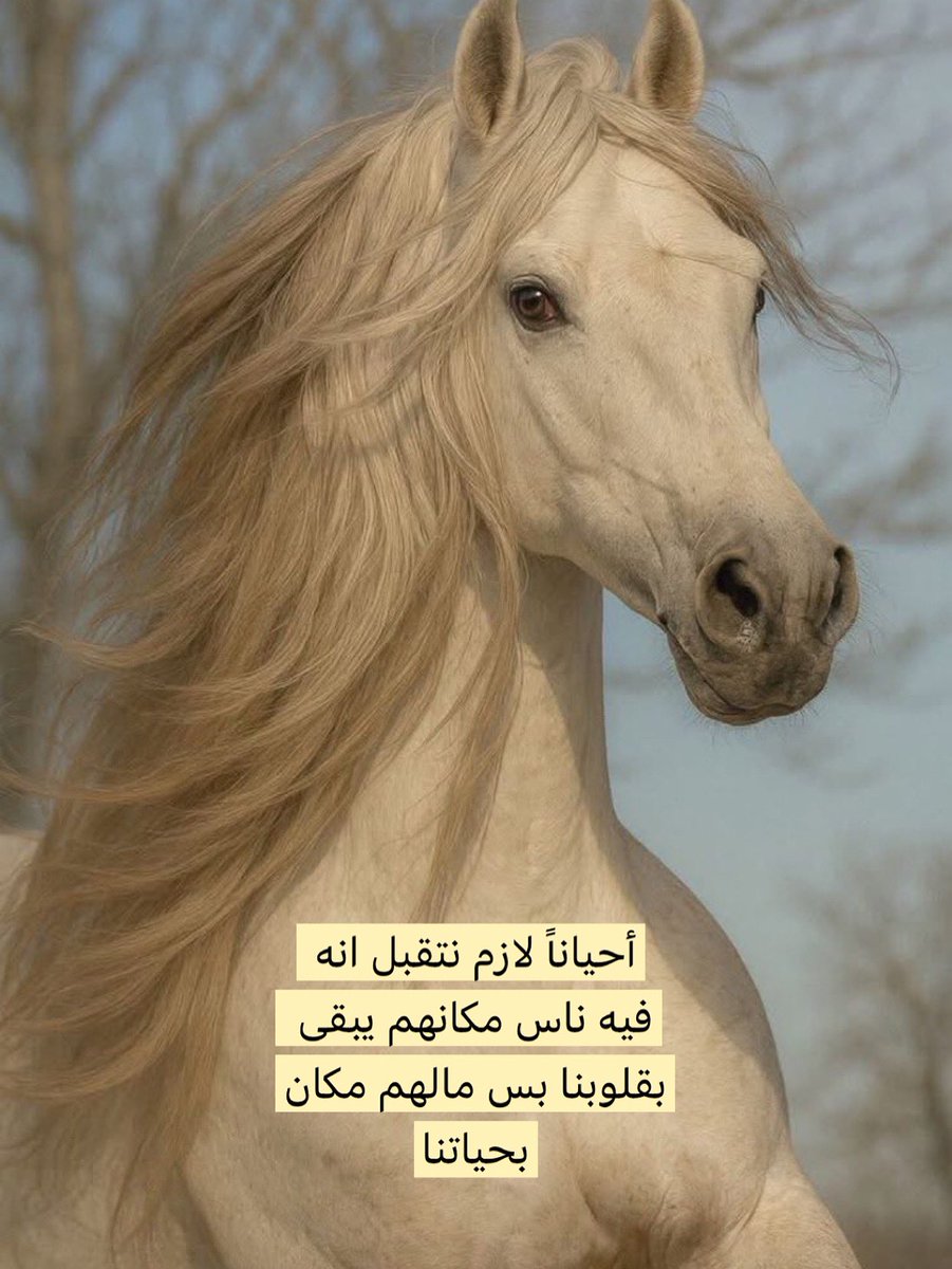 أحياناً
لازم نتقبل انه فيه ناس مكانهم يبقى
بقلوبنا بس مالهم مكان بحياتنا