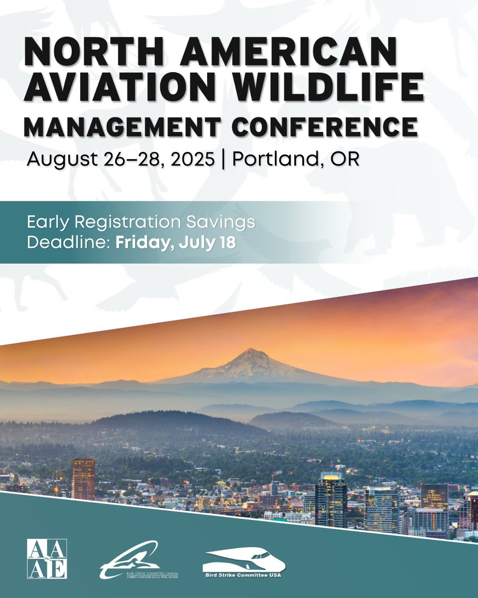 AAAEDelivers's tweet image. Our early bird rates for the North American Aviation Wildlife Management Conference expire this Friday, July 18!🛫🐺 Join aviation and wildlife professionals and peers August 26–28 in Portland, OR.

Register now before the best rates migrate!🦅

🔗hubs.la/Q03x4ZMC0