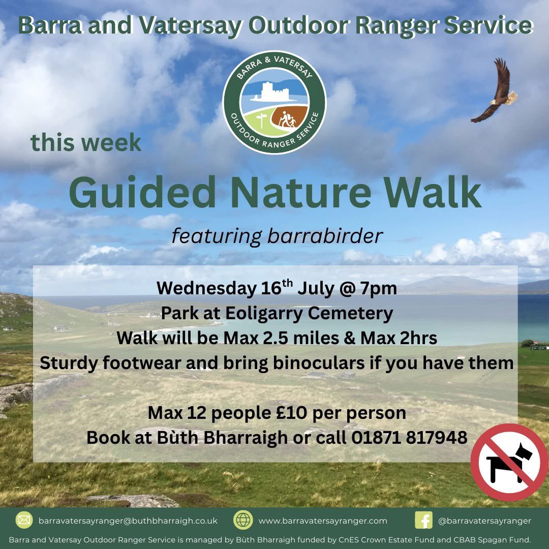 BarraIsland's tweet image. Another great opportunity to go with Bruce aka @barrabirder on a nature walk in Eoligarry. You wonβt be disappointed.