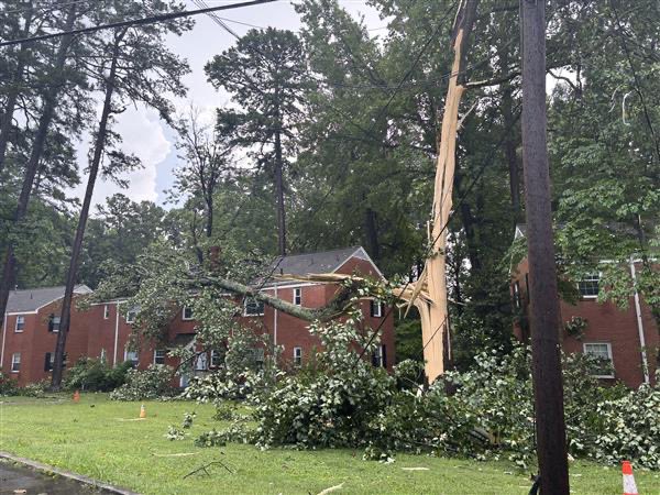TriciaL_Wx's tweet image. Wow check this out! Lightning struck this tree at my friend’s apartment complex in SW Greensboro! I’ve gotten word that the unit it landed on is vacant 👍
(She gave me permission to share)
@TimBuckleyWX @clairefrywx @CMorganWX