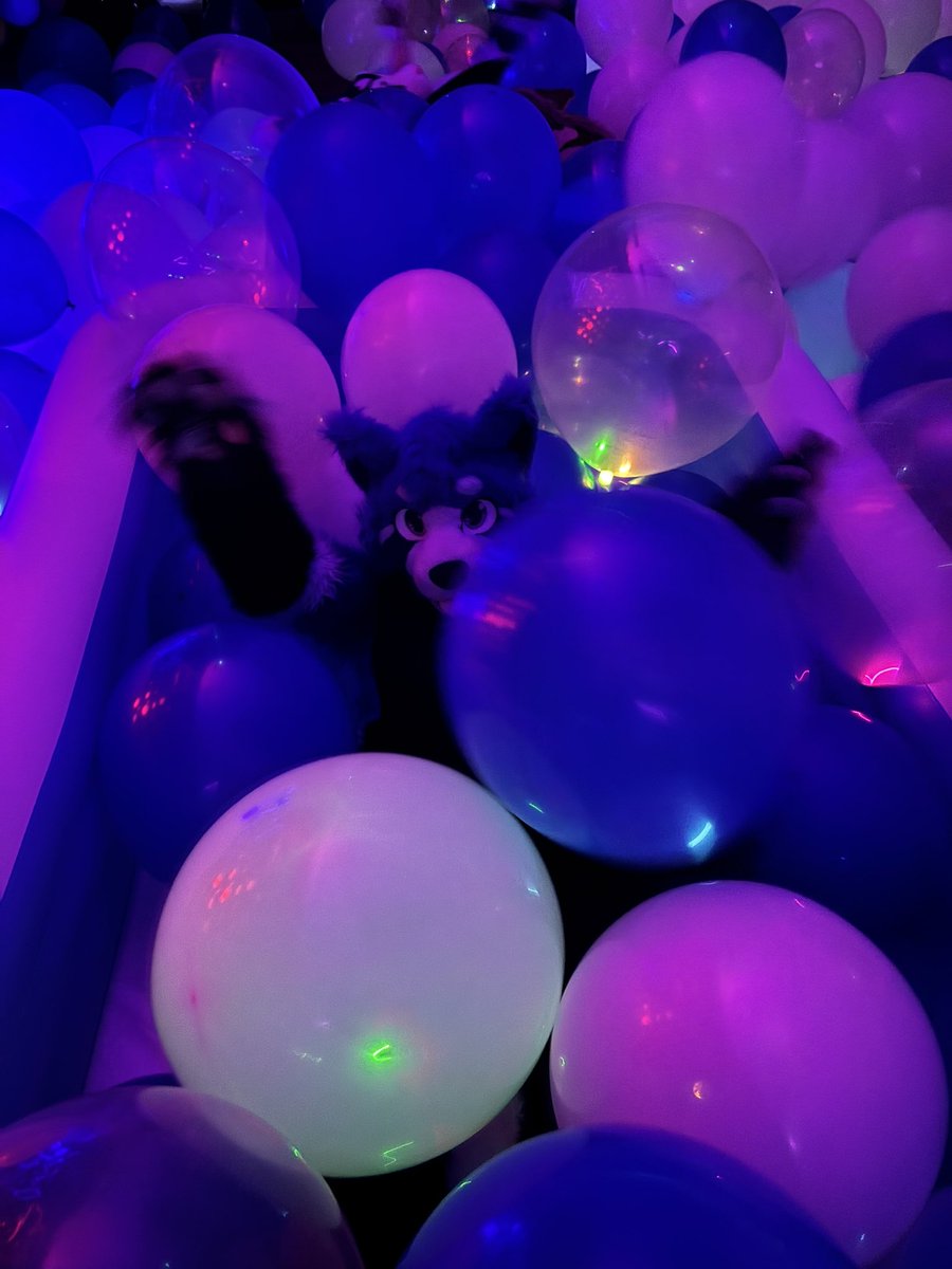 AcePandaMagic's tweet image. No balloons on Twitter for my birthday today cause I used them all!