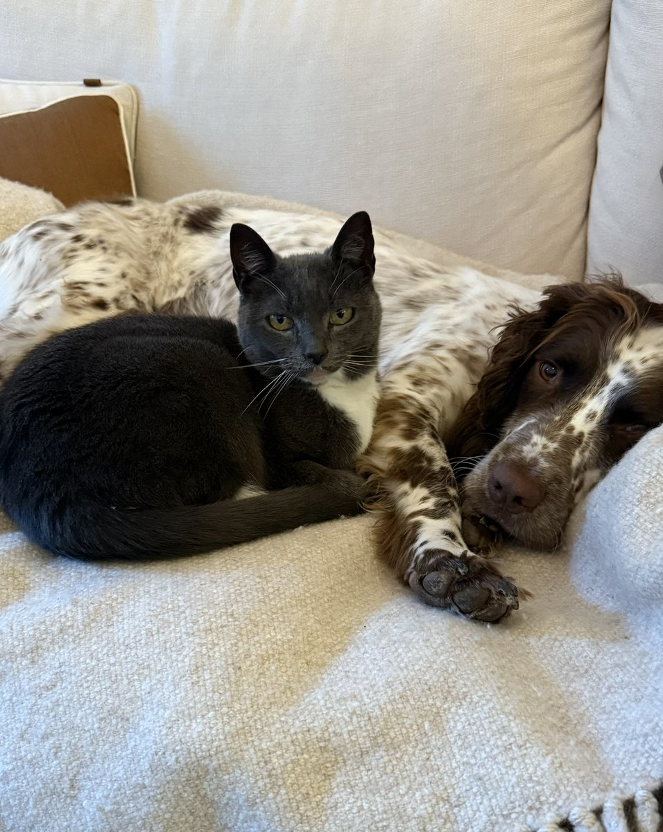 SarahVPearse's tweet image. Friends! We waited a long time for this moment - thought it would never happen!