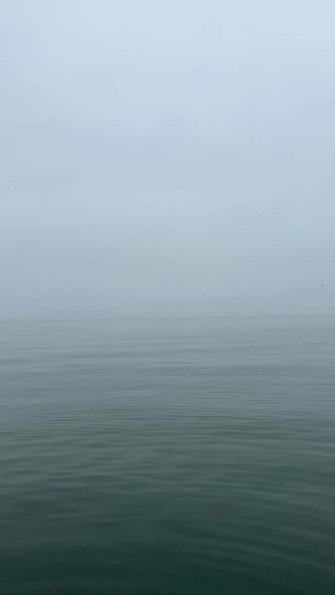 The liberal mind could never comprehend this