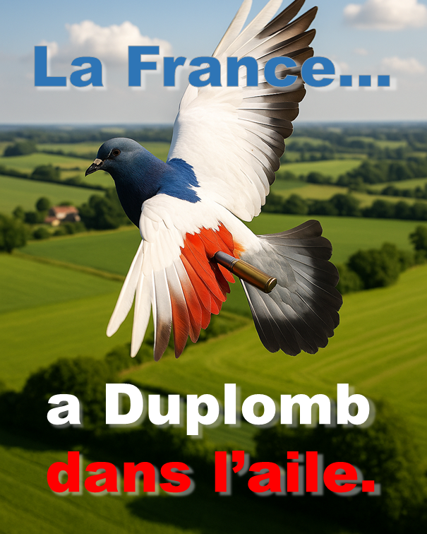Rien à fêter ce 14 juillet, surtout lorsque les élus de l'Assemblée nationale ont voté l'industrialisation encore plus massive de la souffrance animale, et la perdition de la santé publique et de l'environnement. Non, rien à fêter. Mais engageons notre démocratie pour demain.