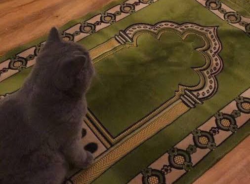 merkurmerkuri's tweet photo. rabbim dağınık işlerimize kolaylık ver,rabbim işlerimizi kolaylaştır,rabbim çalışmamızı kolaylaştır, rabbim yükümüzü azalt kazancımızı bereketlendir, rabbim gönlümüzü genişlet konuşmamızı güzelleştir https://t.co/lAfaXfZfEZ