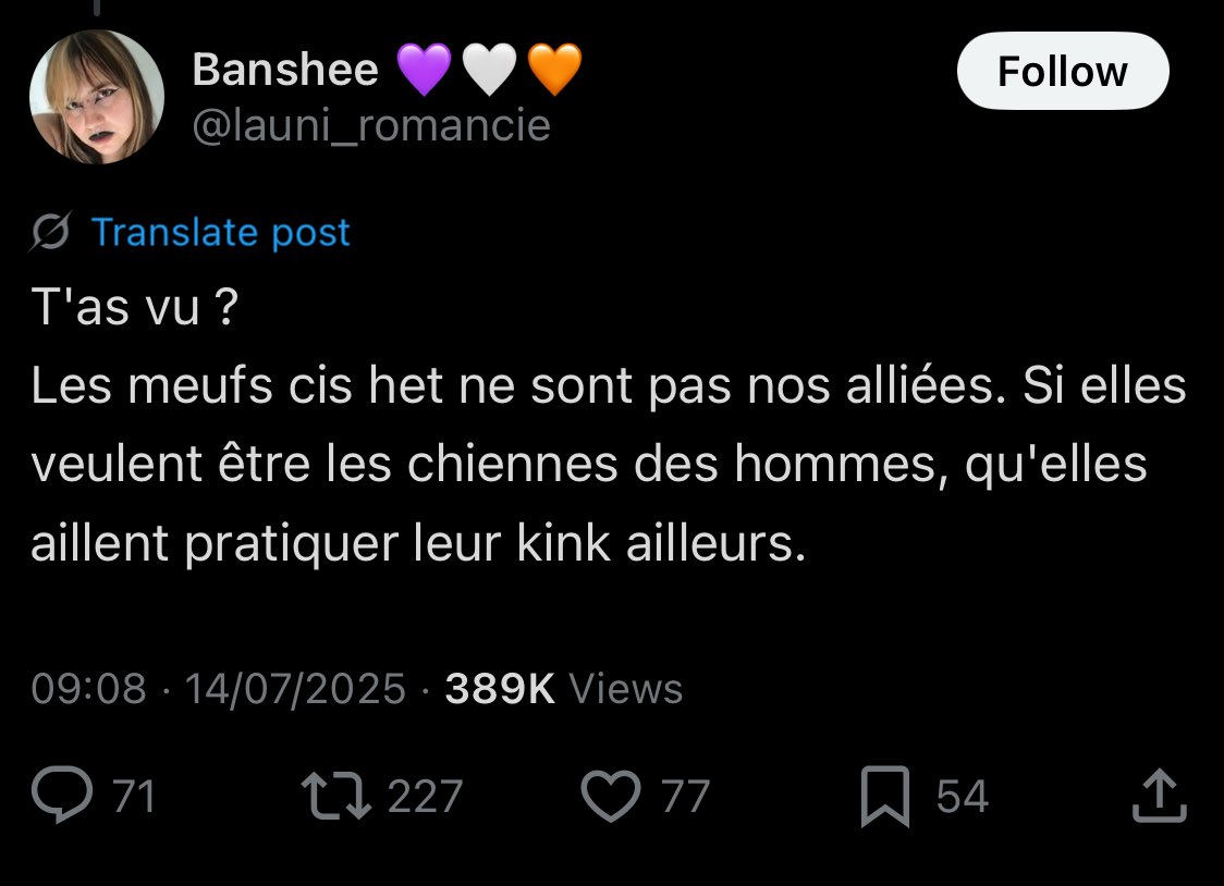 "Les femmes cis ne sont pas nos alliés" et ça veut nous faire croire que cette personne intègre toutes les femmes dans sa notion de feminisme. La façon dont elle utilise sa carte de transidentité pour dire des folies. Apologiste du viol &amp; misogyne "chiennes des hommes". Une folie