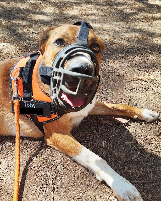 ✝ Magomarc ✝ tweet media