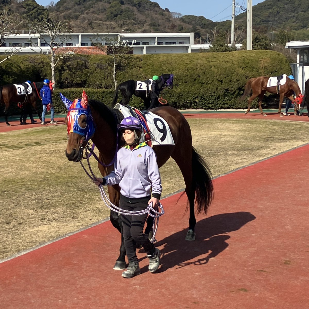 3C_CPT_COOKIE's tweet photo. 2025-02-20-2R
#カガヤキゴールド さん
🥈🐴✨👏🐿️

#佐賀競馬 に本当に初めて行った日だったと思う。その時に撮った写真のうちの一枚。🐴👷‍♀️✨📸🐿️ https://t.co/Bm1kpzdLq6
