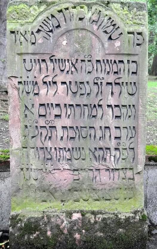 Ayşe Mut (@ayemut5) on Twitter photo 