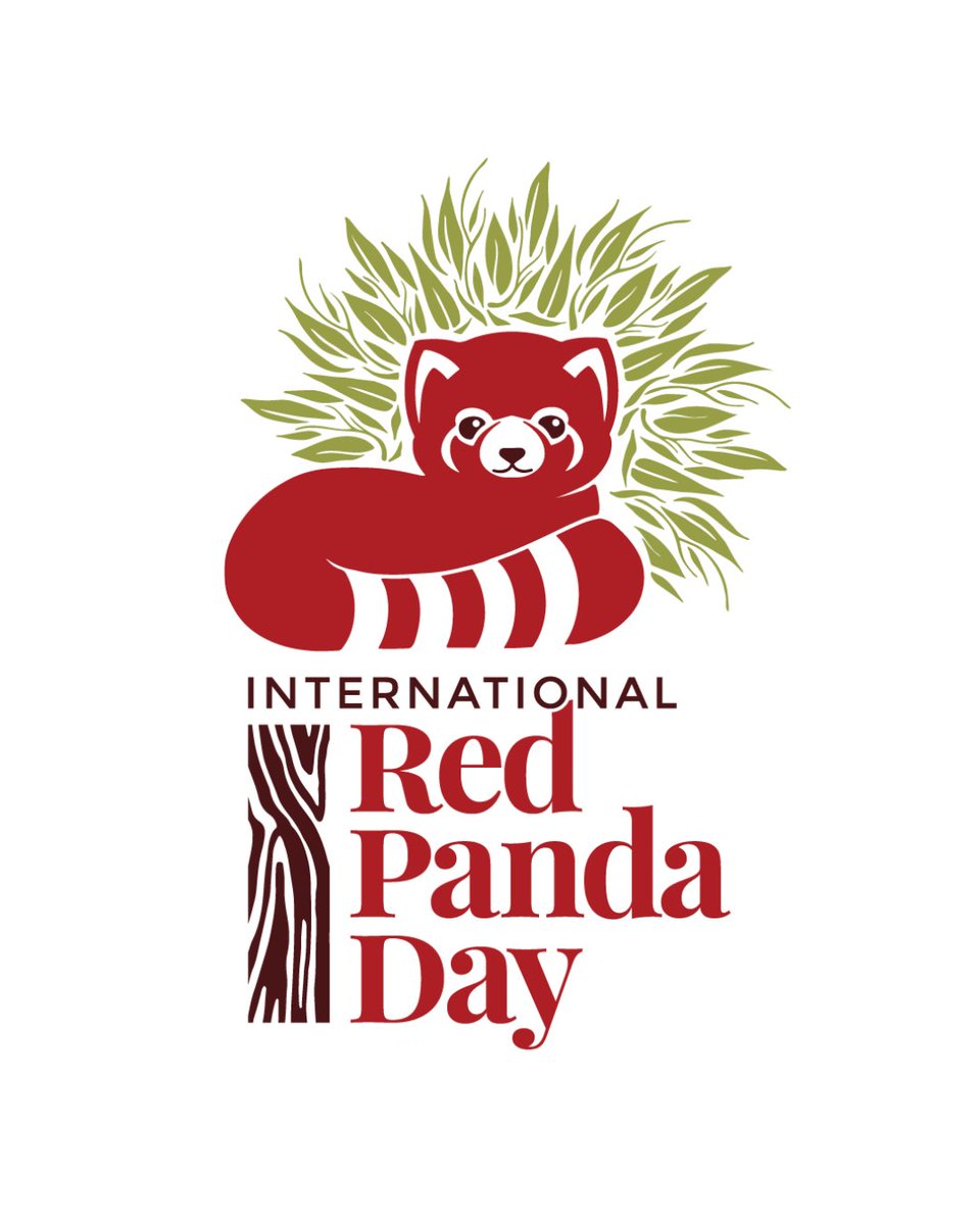 RedPandaNetwork's tweet image. Save the Date! 📆
🎉 This 16th annual day of global education and conservation will be on Saturday, September 20, 2025, and will focus on youth education and empowerment through our Red Panda Conservation Scholarships for Education and Red Panda Ranger programs.
👇More…