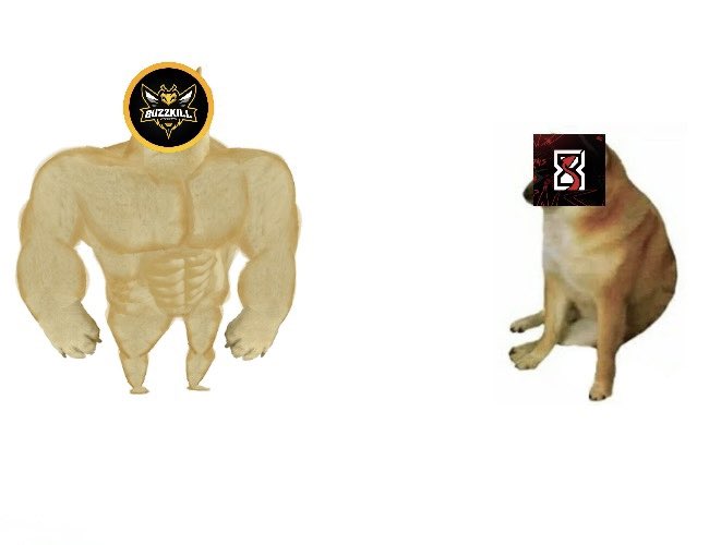 BuzzKill 🐝 tweet media