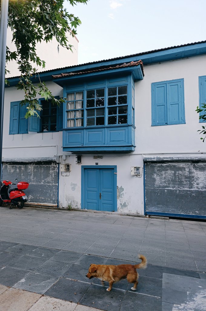 İnsan sevmeye başlayınca yaşamaya da başlar
