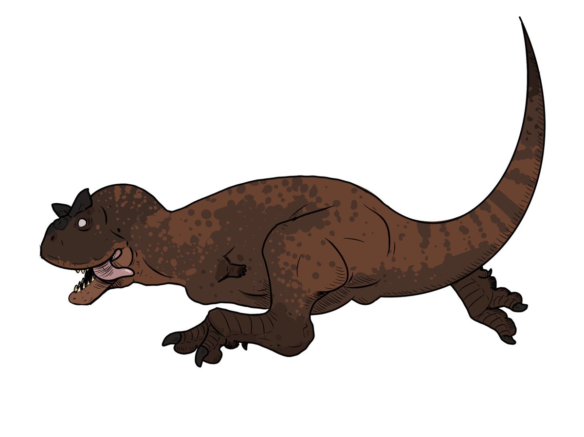 astrapionte's tweet image. Carnooo!!!

She needs a name, tho…
…..
#paleoart #carnotaurus #dinosaur