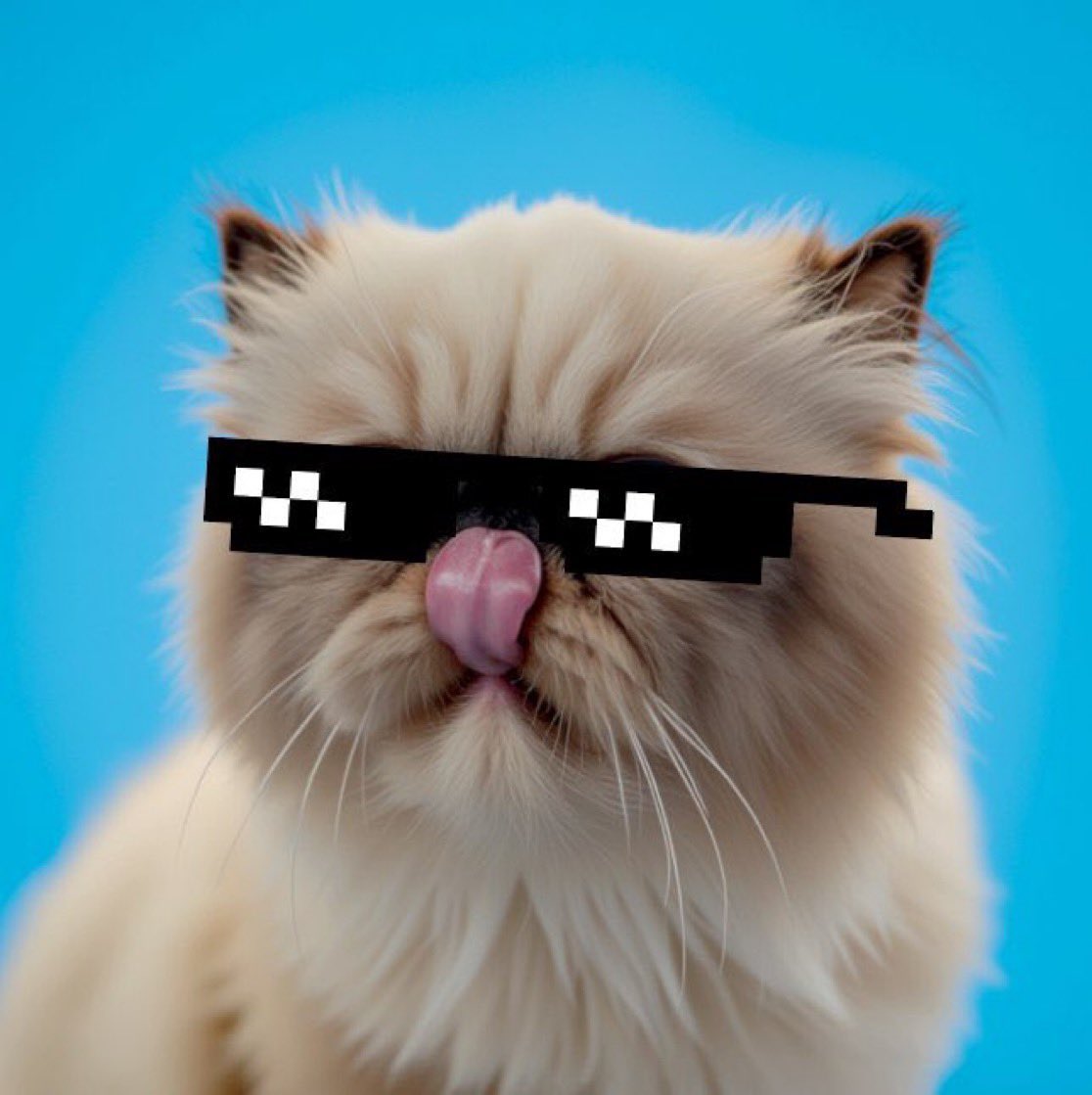 I’m giving away $100 worth of #Miggles! To enter, just drop a like and comment with your best Miggles meme or artwork. One lucky winner will be chosen on July 16th!