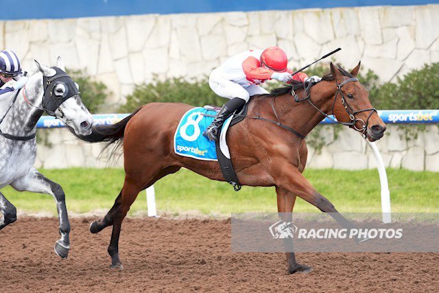 Kennewell Racing (@kennewellracing) on Twitter photo Extremely happy to see Thunder Hawk win again yesterday at Pakenham with Luke Cartwright in the saddle.
She has now won 2 from 4 since joining our stable and has been a great addition.
Thanks to <a href="/karibaracing/">Chris Dziedzic</a> for the support.
🥇🎯 Extremely happy to see Thunder Hawk win again yesterday at Pakenham with Luke Cartwright in the saddle.
She has now won 2 from 4 since joining our stable and has been a great addition.
Thanks to <a href="/karibaracing/">Chris Dziedzic</a> for the support.
🥇🎯