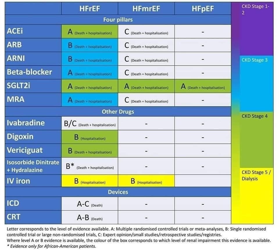 🔴" The Management of Chronic Heart Failure in Patients with CKD"  A 2024 Updated Review 
#openAccess 
 
🔸️imrpress.com/journal/RCM/25…
#CardioEd #Cardiology #FOAMed #meded #MedEd #Cardiology #CardioTwitter #cardiotwitter #cardiotwiteros #CardioEd #MedTwitter
