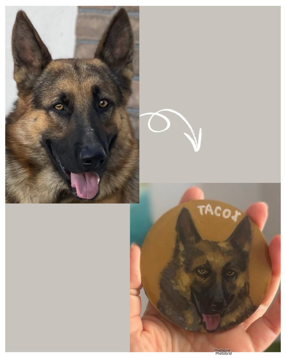 HocaSeyda's tweet photo. Köpeğiniz mi var? Kedinizi mi çok seviyorsunuz?
Onları magnet yapıyorum.
Evet, ciddi söylüyorum.
DM atın ✍️
Yok ben sadece geçiyordum diyorsanız RT atın da algoritmaya bir selam çakalım 😄🐾💫 https://t.co/mKgv9mtUjE