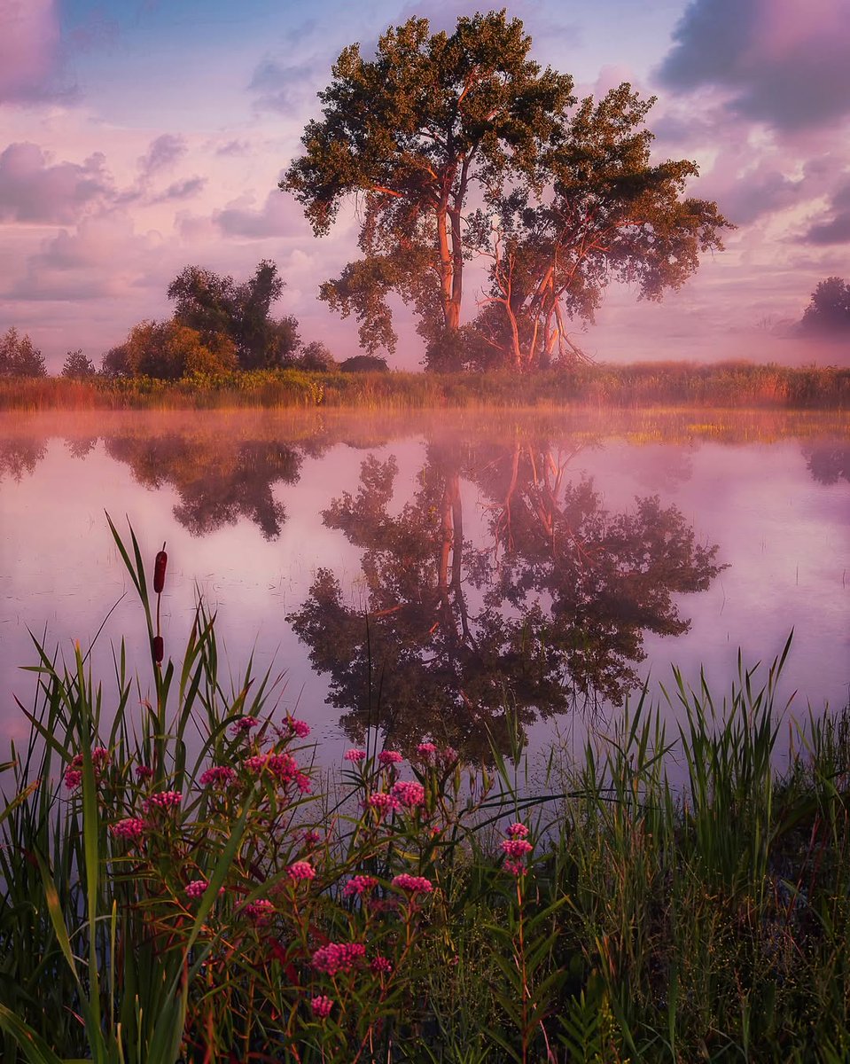weareFLX's tweet photo. Montezuma National Wildlife Refuge in Seneca Falls, NY
📷: @photos_by_jserio
#weareflx #flx #fingerlakes #fingerlakesny #iloveny #flxperience #newyorkexplored #exploreny #optoutside #upstateny #flxoutdoors #nylovessummer https://t.co/3ZV1oRIpIl