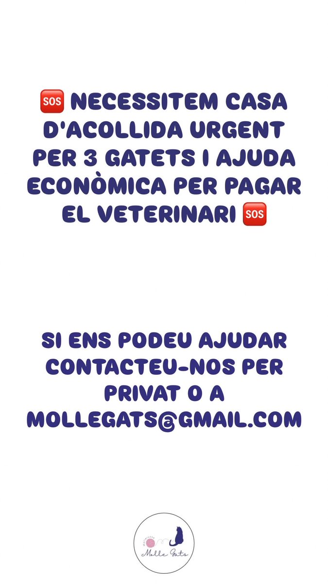 🆘 Necessitem ajuda 🆘

Pots fer de casa d'acollida?

Ens pots ajudar amb les despeses veterinàries?

Qualsevol ajuda és benvinguda ❤️‍🩹

▪️instagram: mollegats