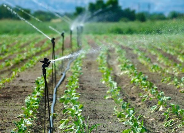 📢Submit an application for NM WRRI's Agricultural Water Resilience Program!

Help maintain the resilience of NM Ag &amp; provide food security in a future w/ less available water🌱

Selected projects may be awarded up to $250k.
Apps due 7-28-25🌟
Full details:nmwrri.nmsu.edu/nmwrri-agwrp/n…