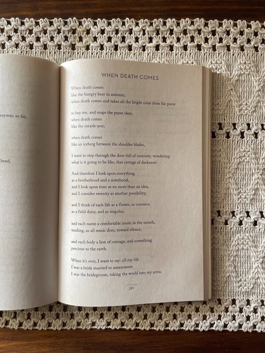 Mary Oliver: “No quiero terminar simplemente habiendo visitado este mundo.”