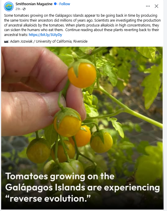 jwoodworthtalks's tweet image. Nothing to see here..... 👇🤣😥
(we&apos;ve toxified all the food)
(you need us to survive )
(you can&apos;t be trusted to grow your own food)
Good job @smithsonian for reminding us of the narrative riddled with halftruths! 🤮
#biodigitalconvergence #halftruths