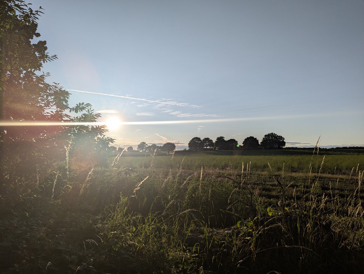 nickbiss39's tweet image. Sunsets hold an entirely unique kind of magic for me. Dreams and whist in golden light #SmallBeautiesHour #BecauseOfClem #ThreadOfGold