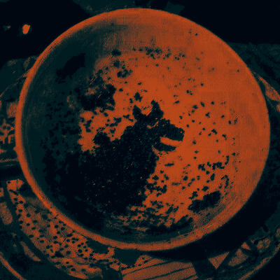 ᝰ . 𝘧𝘰𝘳𝘦𝘷𝘦𝘳 𝘢 . . . 𝔱𝔯𝔞𝔦𝔱𝔬𝔯 . tweet media