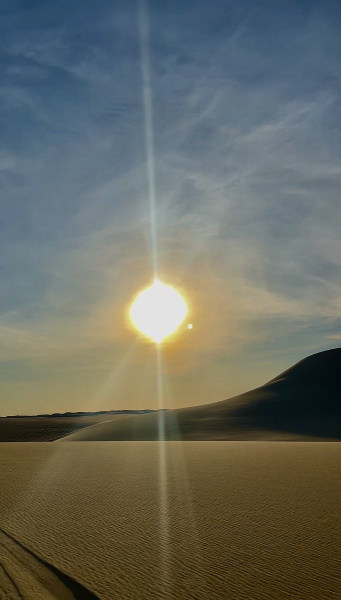 Fahed_tm's tweet photo. Life in the desert . https://t.co/HogyCaBM37