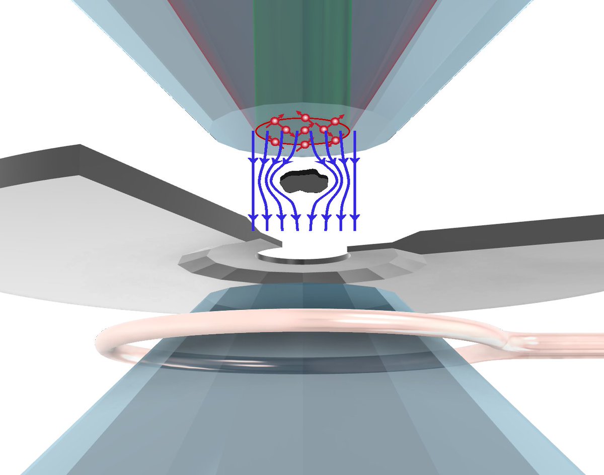Editors' Suggestion &amp; Featured in Physics: Imaging the Meissner effect and flux trapping of superconductors under high pressure using N-𝑉 centers
Cassandra Dailledouze, Antoine Hilberer, Martin Schmidt, et al.
Synopsis: go.aps.org/4lirH4o
go.aps.org/4kn4EUT