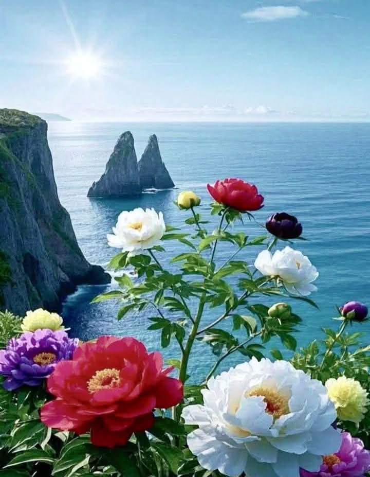 sohasaif730720's tweet image. 🩵●::●٭࿐⇣🩵     {{﷽}}
  ﴿  وَمَاگًانً اللَّهُ لِيُعَذِّبَهُمْ وأنٓت فِيهِمْ                  وَمَا كَانَ اللَّهُ مُعَذِّبَهُمْ وَهُمْ يَسْتَغْفِرُونَ ﴾
[الآنفآل:33]
أَسْتَغْفِرُ اللَّهَ الْعَظِيمَ، وَأَتُوبُ إِلَيْهِ}}🩵💛