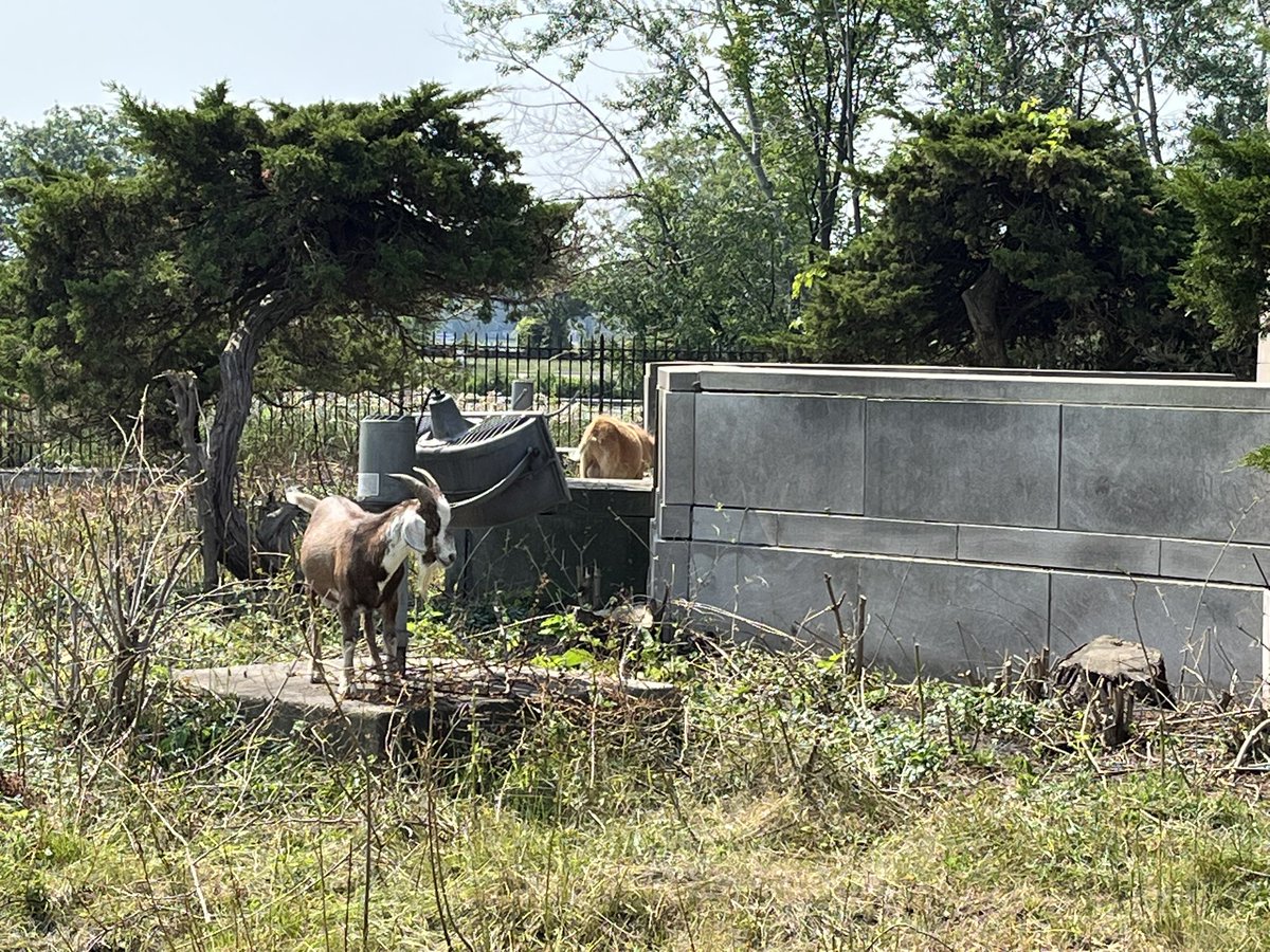 I spotted <a href="/TarikSkubal/">Tarik Skubal</a> on Belle Isle today. 

<a href="/tigers/">Detroit Tigers</a>