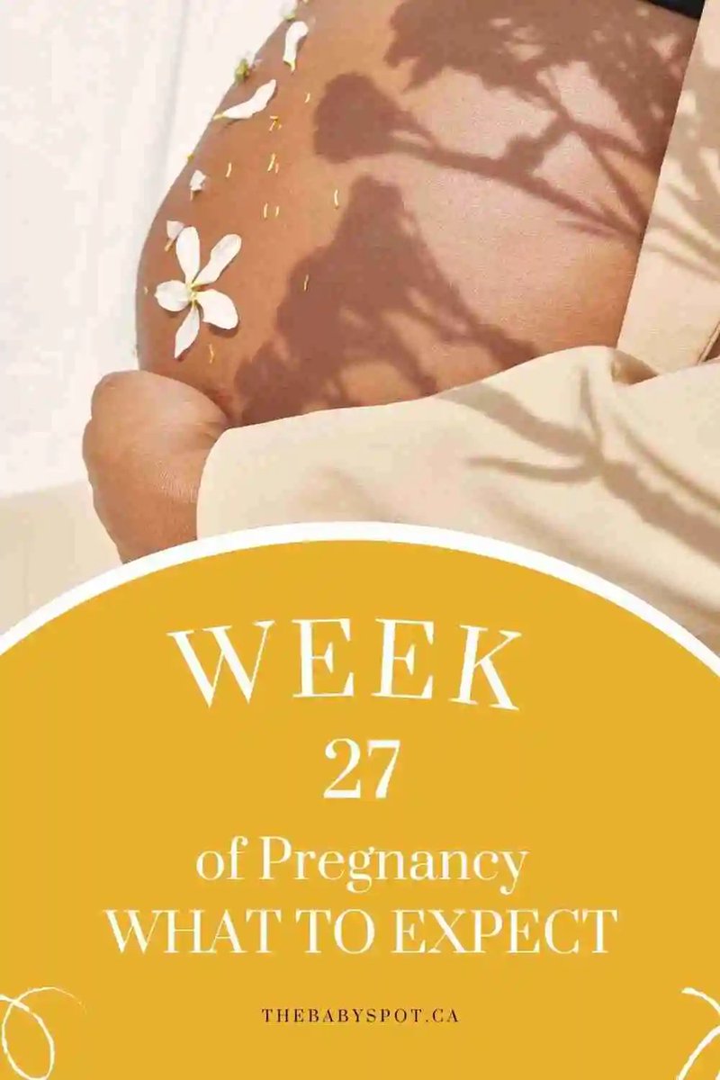 Week 27 of #Pregnancy - What To Expect thebabyspot.ca/week-27-of-pre… #Pregnant