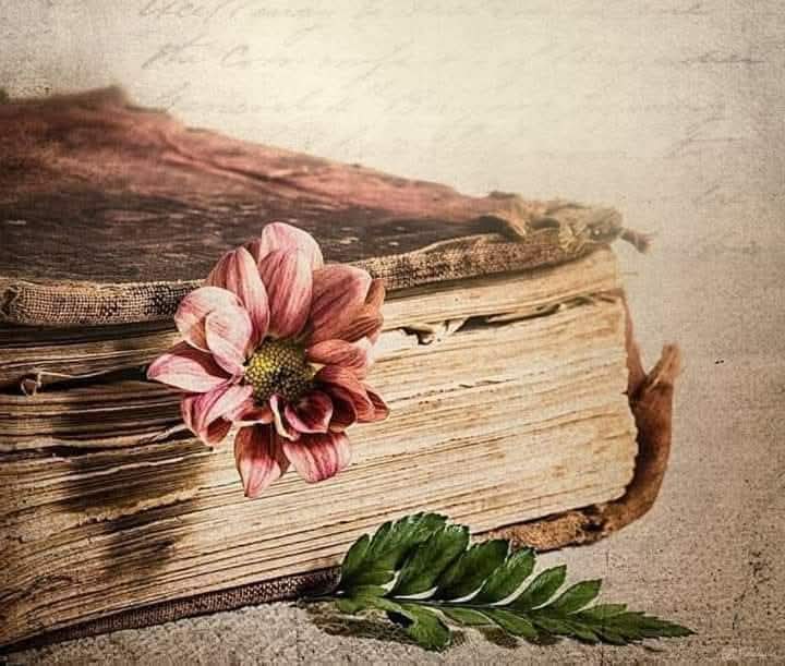 #قومی_زبان
#PAK_PG 
انسان کتب کی مانند ہیں ؛
کچھ تو سرِ ورق (ٹائٹل) سے دھوکہ دیتے ہیں۔ 
اور کچھ اپنے مواد کے ذریعے حیران کر دینے والے !