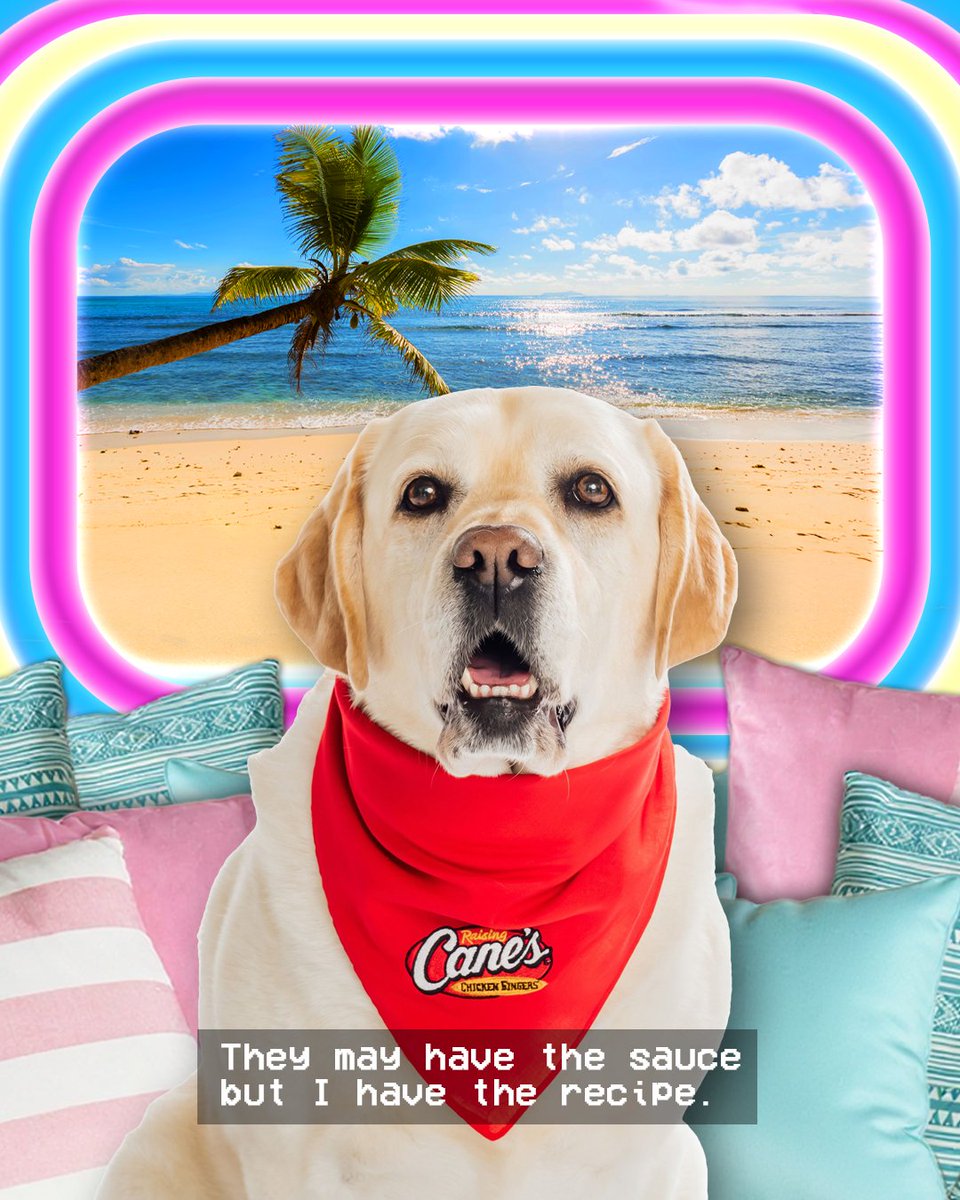 Cane 3 misses the villa already