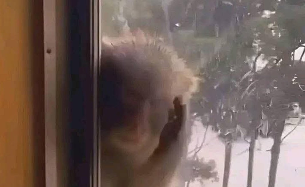 Me waiting For my boss to come out so i can watch Tiktok