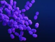 CDC_NCEZID's tweet image. CDC’s Arctic Investigations Program used Whole Genome Sequencing to enable the prevention of Invasive Streptococcus. Learn more: bit.ly/3RfPwwF