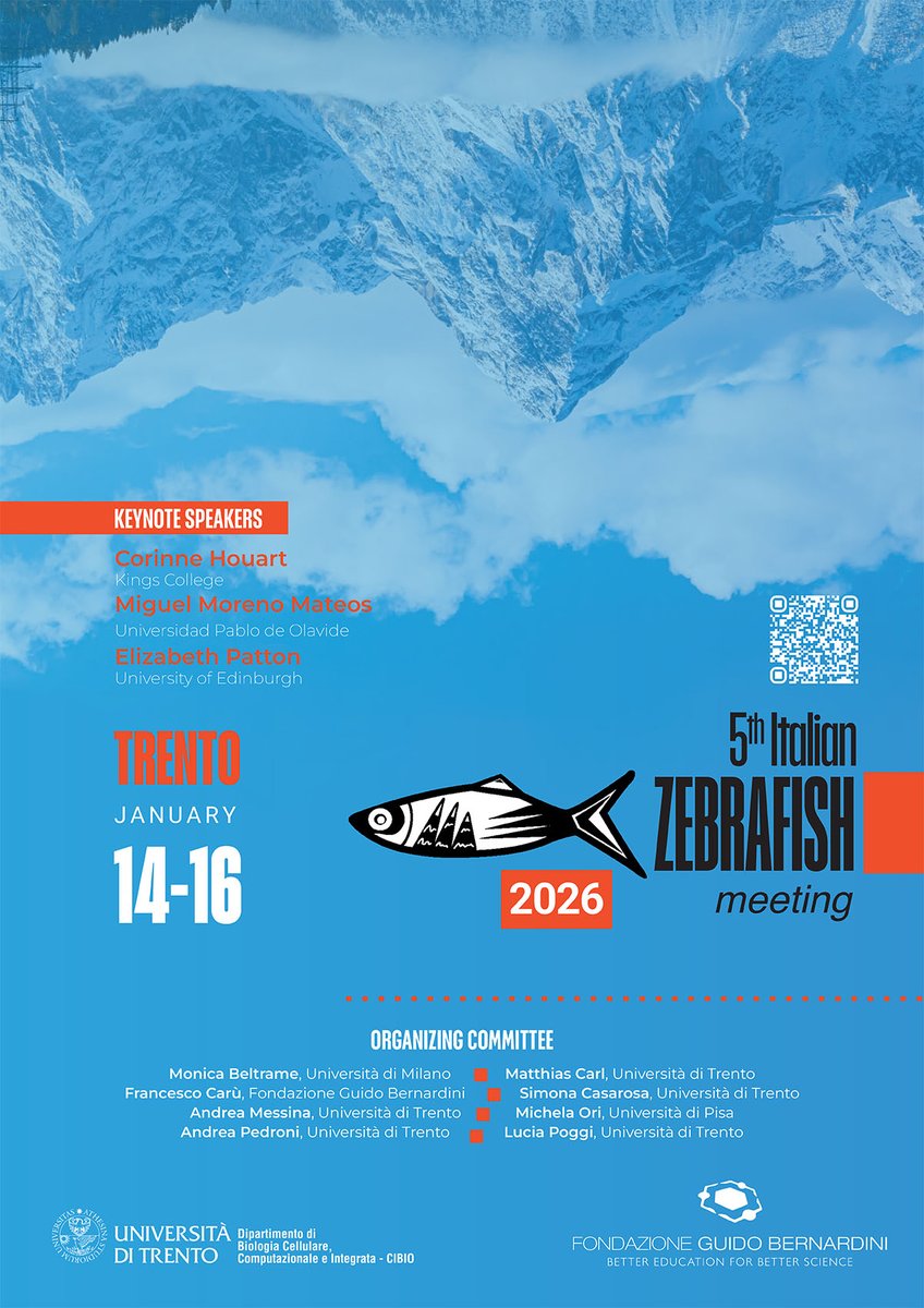 FISV998's tweet image. 5th Italian Zebrafish Meeting-Trento 14-16/01/ 2026

Meeting organizzato da @UniTrento e Fondazione Guido Bernardini: un&apos;opportunità per presentare e discutere i più recenti progressi nella ricerca sullo #zebrafish in Italia e a livello internazionale. 
fisv.org/services/event…