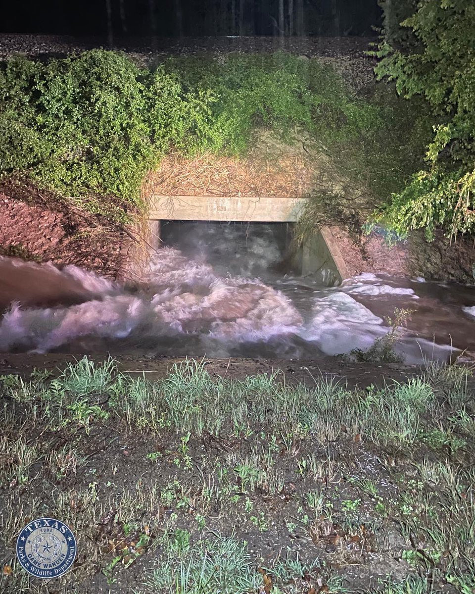 Abigail Velez (@velez_tx) on Twitter photo In Lampasas Co. early yesterday morning, a man & woman were swept nearly a mile by floodwaters after their car was forced through a culvert & submerged. <a href="/TexasGameWarden/">Texas Game Wardens</a> found them clinging to trees— one 15 ft above water, both rescued safely.
📸: TX Parks & Wildlife Dept In Lampasas Co. early yesterday morning, a man & woman were swept nearly a mile by floodwaters after their car was forced through a culvert & submerged. <a href="/TexasGameWarden/">Texas Game Wardens</a> found them clinging to trees— one 15 ft above water, both rescued safely.
📸: TX Parks & Wildlife Dept