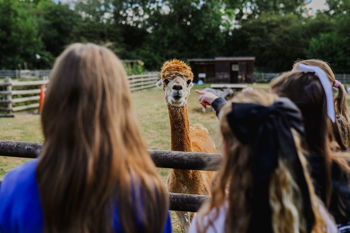 KirkHallamCA's tweet image. Year 6 transition was a roaring success! Soon-to-be KHCA Year 7 students enjoyed a range of activities in different subject areas, meeting their new teachers and support staff. The animal care department, as always, was a favourite part of their day! #khca #community #year6