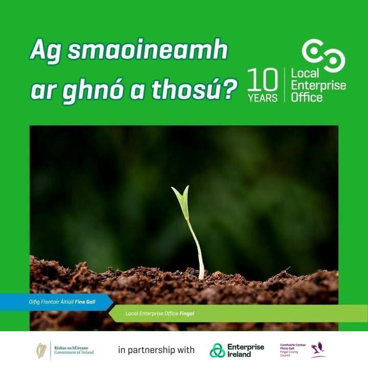 Faigh eolas maidir le chúrsaí traenála gnó atá le teacht i Fine Gall ag localenterprise.ie/fingal 
#MakingItHappen