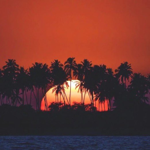VittorioVitt0ri's tweet photo. Find your vibe.
Follow what feels right.
Let energy guide you.
Tune into the frequency that makes you feel alive.

Your tribe, your rhythm, your purpose,
it all begins there. https://t.co/nimF47R3Ku