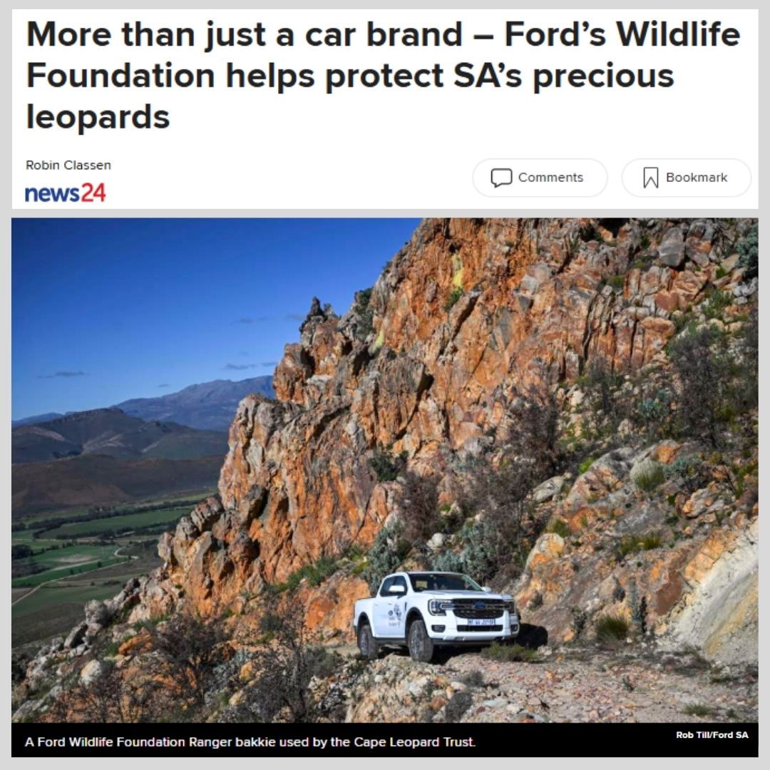 Cape Leopard Trust (CLT) (@capeleopardtrst) on Twitter photo Another feature highlighting the <a href="/CapeLeopardTrst/">Cape Leopard Trust (CLT)</a> & <a href="/FordSouthAfrica/">Ford South Africa</a> 's commitment to conservation through the #FordWildlifeFoundation 🐾
🔗👉 news24.com/life/motoring/…
<a href="/News24/">News24 🇿🇦</a> #FordWildlife #FordSouthAfrica Another feature highlighting the <a href="/CapeLeopardTrst/">Cape Leopard Trust (CLT)</a> & <a href="/FordSouthAfrica/">Ford South Africa</a> 's commitment to conservation through the #FordWildlifeFoundation 🐾
🔗👉 news24.com/life/motoring/…
<a href="/News24/">News24 🇿🇦</a> #FordWildlife #FordSouthAfrica