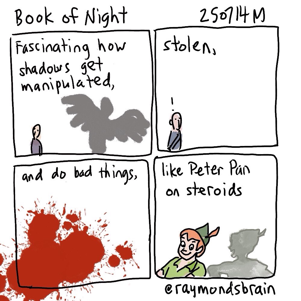 raymondsbrain's tweet image. Enjoyed #bookofnight by #hollyblack