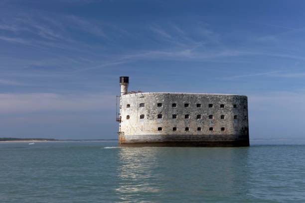 TeslaClubFrance's tweet image. Save the Date 🌊
TESLA COAST EXPERIENCE
📅 9 & 10 août 2025 – Rochefort & La Rochelle
Balade, navigation vers Fort Boyard, dégustations et moments conviviaux entre passionnés.
🎟️ Places limitées à 24 participants.
#TeslaOwnersClubFrance #RoadTrip