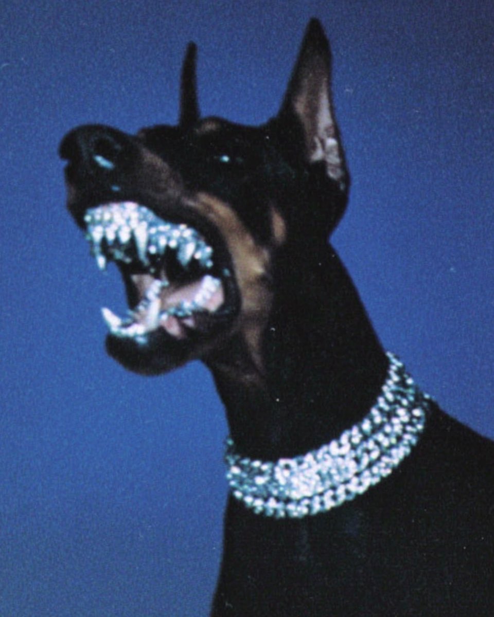 MrMerge (@mr_merge) on Twitter photo GRILLZ by Stephan Vasement <a href="/stephanvasement/">Stephan Vasement</a>. Happy to add another awesome piece by Stephan to my collection. Might be worth checking SuperRare if your interested in their work ๐ GRILLZ by Stephan Vasement <a href="/stephanvasement/">Stephan Vasement</a>. Happy to add another awesome piece by Stephan to my collection. Might be worth checking SuperRare if your interested in their work ๐