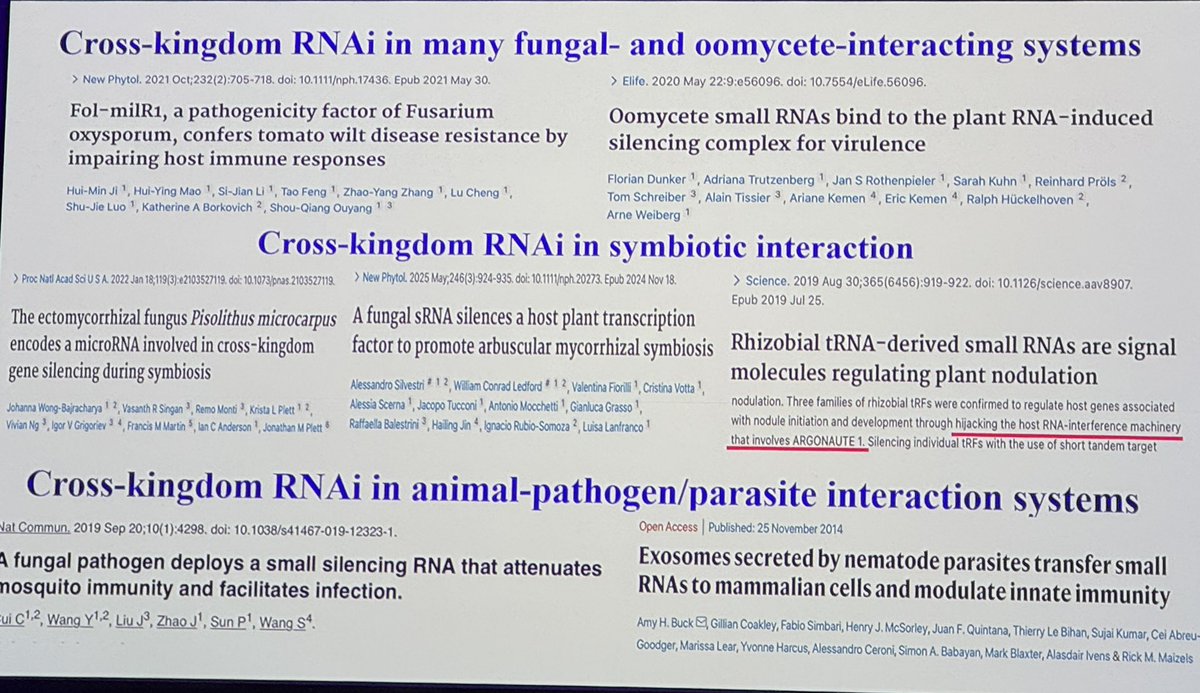 MahmutTor's tweet image. Cross-kingdom RNAi is everywhere:
🍅 Pathogens use sRNAs to suppress plant immunity
🌱 Symbionts use sRNAs to promote compatibility
🦟 Even mosquitoes aren’t safe
Hailing Jin @hailingj1 at #ISMPMI2025: revealing how small RNAs cross borders—and shift the balance.
#CKRNAi